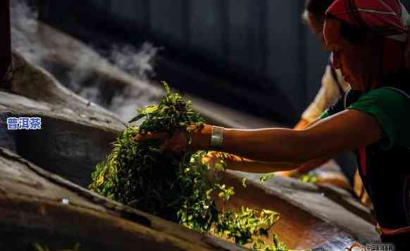 普洱茶每年炒茶时间是多少-普洱茶每年炒茶时间是多少克