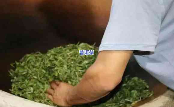 一个人一天能做几斤普洱茶？详细制作过程全揭秘！