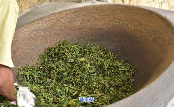 一个人一天能做几斤普洱茶？详细制作过程全揭秘！