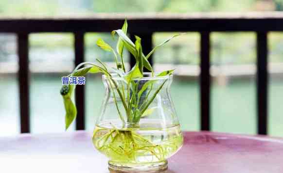 普洱茶水可以浇植物吗，普洱茶水：适合用来浇灌植物吗？