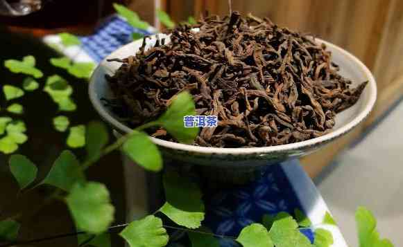 熟普洱茶的水可以浇多肉吗-熟普洱茶的水可以浇多肉吗视频