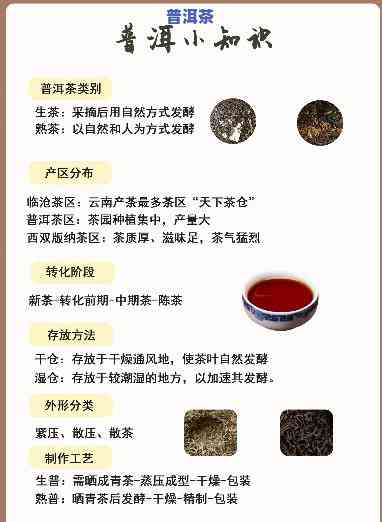 与普洱茶有关的知识哪里看-有关普洱茶的知识汇总