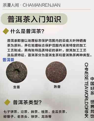 与普洱茶有关的知识哪里看-有关普洱茶的知识汇总