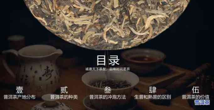 普洱茶知识讲座视频，深入浅出：普洱茶知识讲座视频，让你轻松熟悉普洱茶的世界