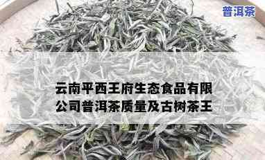 云南平西王府普洱茶古树茶王：价格、品质与生态茶园全面解析