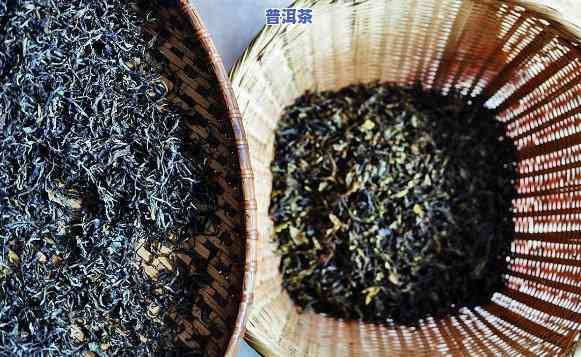 揭阳普洱茶生产厂商-揭阳普洱茶生产厂商有哪些