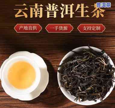 云南大种叶普洱茶图片大高清欣赏