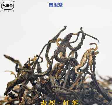 古树红茶属于滇红吗，探究古树红茶是否属于滇红系列？