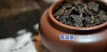 普洱什么时候喝更好-普洱什么时候喝更好喝