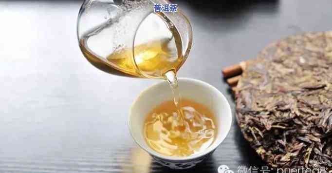 新的普洱茶可以喝吗，新制普洱茶能饮用吗？你需要知道的关键信息