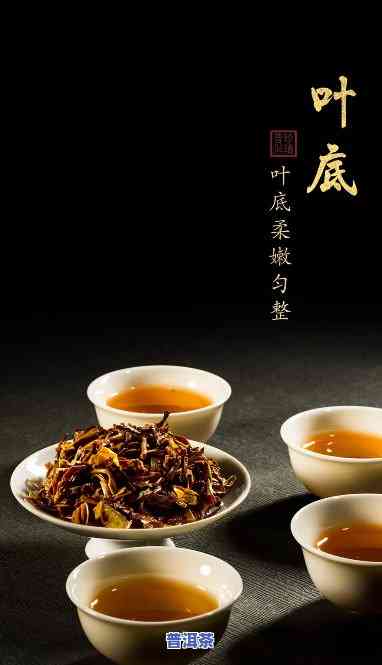 普洱茶量，掌握正确比例，品鉴美味普洱茶的秘诀