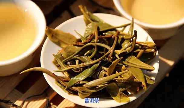 南糯山的普洱茶怎样？冲泡方法全解析