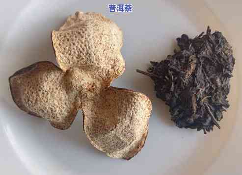 陈皮普洱茶的冲泡比例：陈皮与普洱茶的比例是多少？