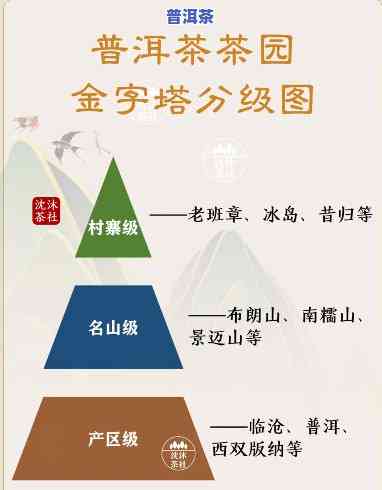 勐海普洱茶山：揭秘十大排名与特色茶山头