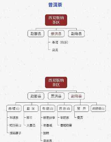 勐海普洱茶山：揭秘十大排名与特色茶山头