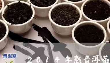 2014普洱茶报价-的普洱茶 老茶人