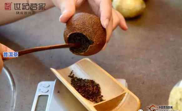 普洱与陈皮的更佳泡茶比例是多少？