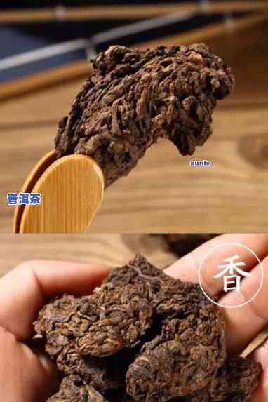 普洱茶茶化石：口感怎样？值得一试吗？