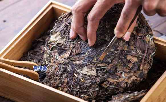 做普洱茶代理赚钱吗？现在市场状况怎样？还有机会吗？