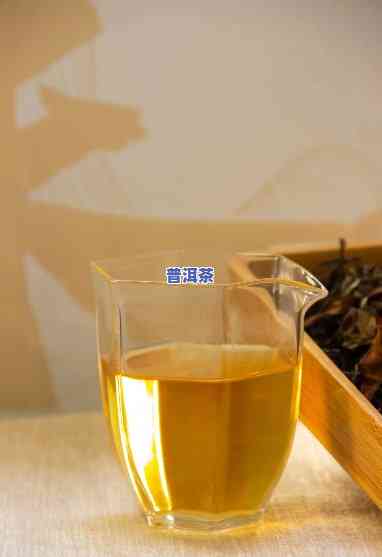 熟普洱茶冷泡制作技巧：怎样让冷泡茶更好喝？