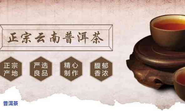 崖柏普洱茶代理加盟条件，加入崖柏普洱茶代理行列，熟悉必备的加盟条件！