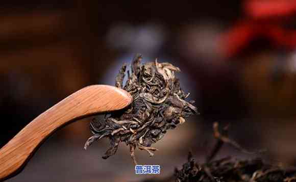 崖柏普洱茶代理加盟条件，加入崖柏普洱茶代理行列，熟悉必备的加盟条件！