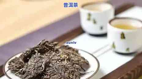 普洱茶存放有点阳光可以吗-普洱茶阳光照射会变质嘛