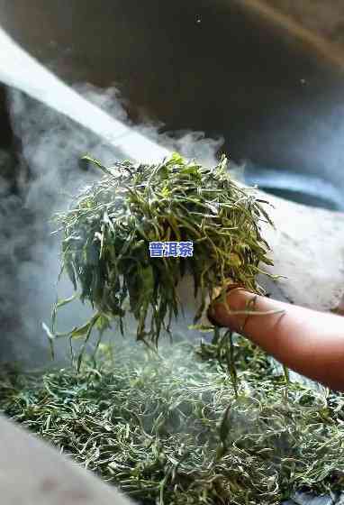 普洱芽茶是生茶还是熟茶，揭秘普洱芽茶：它是生茶还是熟茶？