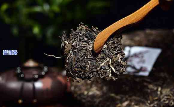 普洱茶熟茶存放多久，普洱茶熟茶的保存期限：你需要知道的一切