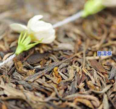 云南特产普洱茶野生古树茶-云南特产普洱茶野生古树茶是什么茶