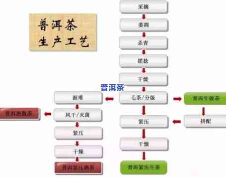 深入熟悉普洱茶：加工工艺、分类及其方法