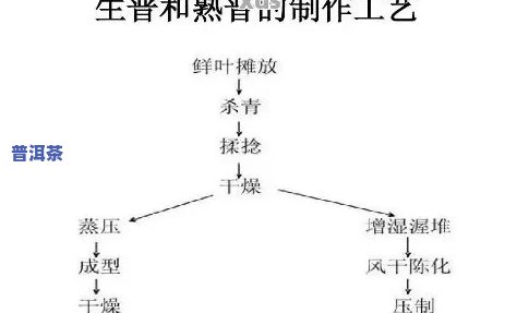 深入熟悉普洱茶：加工工艺、分类及其方法