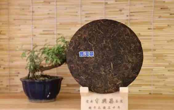 怎样解开普洱茶茶饼的盖子：详细步骤与视频教程