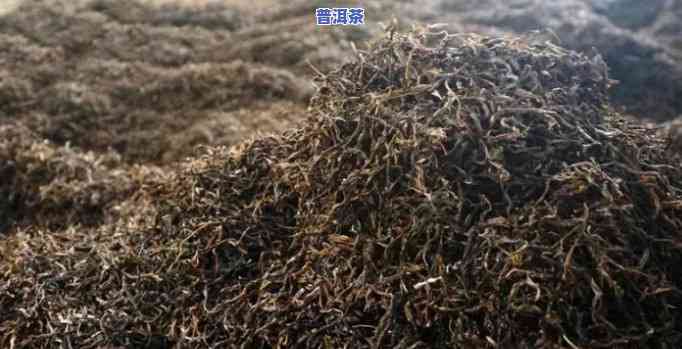 普洱茶是人工发酵吗，揭秘普洱茶：它是怎样通过人工发酵制成的？