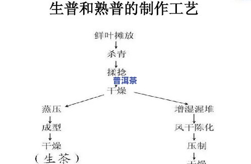 普洱茶是人工发酵吗，揭秘普洱茶：它是怎样通过人工发酵制成的？