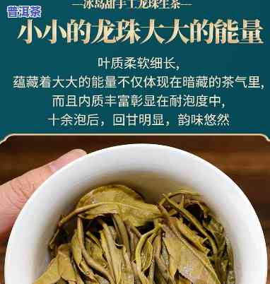 冰岛普洱小龙珠：生茶还是熟茶？口感对比评测