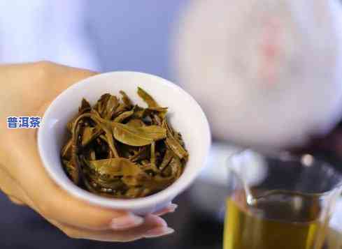 糯米香味的普洱茶饼：能喝吗？无吗？