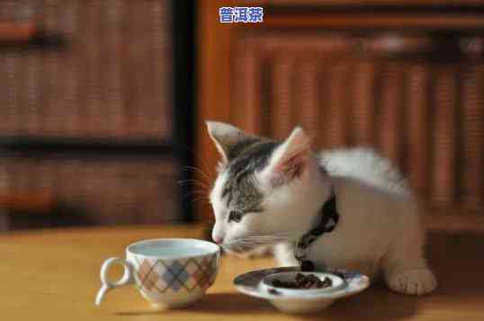 猫可以喝普洱茶么吗为什么不能喝，猫咪能否饮用普洱茶？起因解析