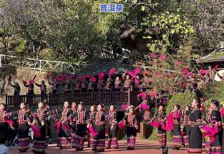 开门红云南普洱茶什么价格-开门红普洱茶价位