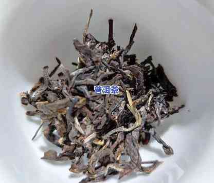 哪个省普洱茶最出名最正宗-哪个省普洱茶最出名最正宗的