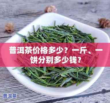 普洱茶行情：最新走势与价格分析