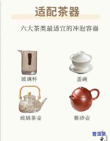 普洱茶冲泡器具的选择与采用