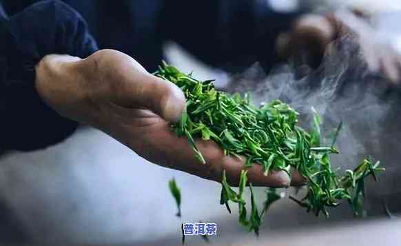 普洱茶杀青工艺细节疑问有什么，深度解析：普洱茶杀青工艺的细节疑问