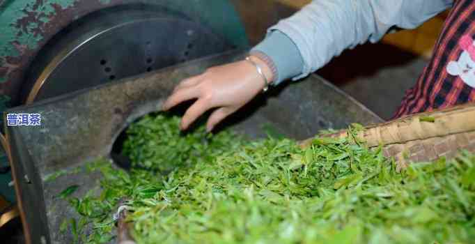 制作普洱茶时杀青工序的主要目的：保留茶叶天然香气和口感