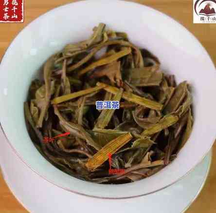 普洱茶加螃蟹脚有什么功效吗，普洱茶加螃蟹脚：一种特别的饮品，它有哪些健康益处？