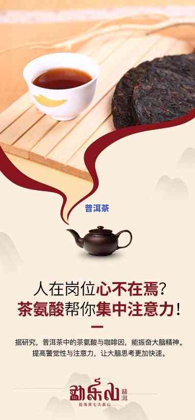 勐乐山普洱茶总代理-勐乐山普洱茶总代理是谁