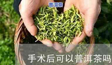 微创手术后可以喝普洱茶吗，微创手术后能否饮用普洱茶？