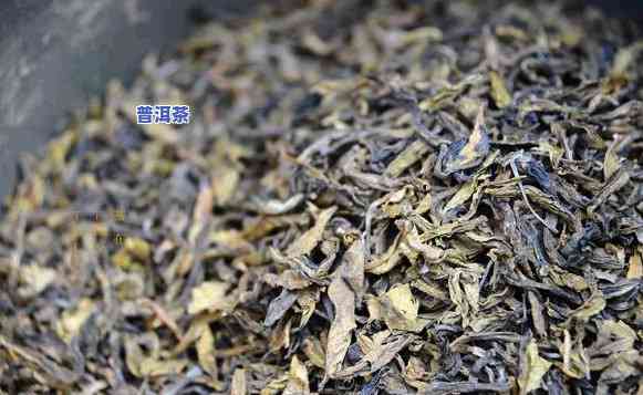 在家自制普洱茶茶饼-在家自制普洱茶茶饼怎么做