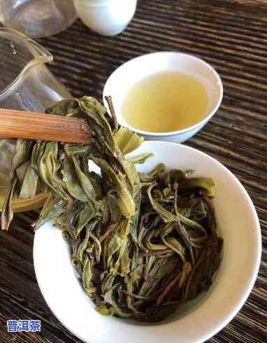 怎样分辨普洱茶好坏？视频教程详解