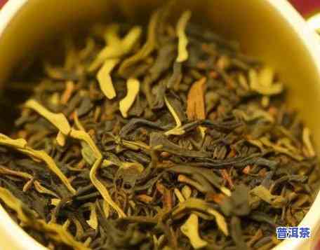 金芽贡茶普洱茶知识，深入熟悉金芽贡茶普洱茶：知识大揭秘